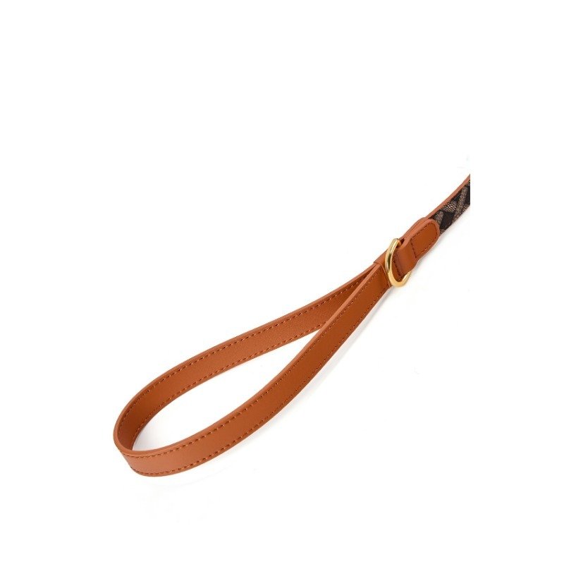 Customized Leash Collar Leash Vest