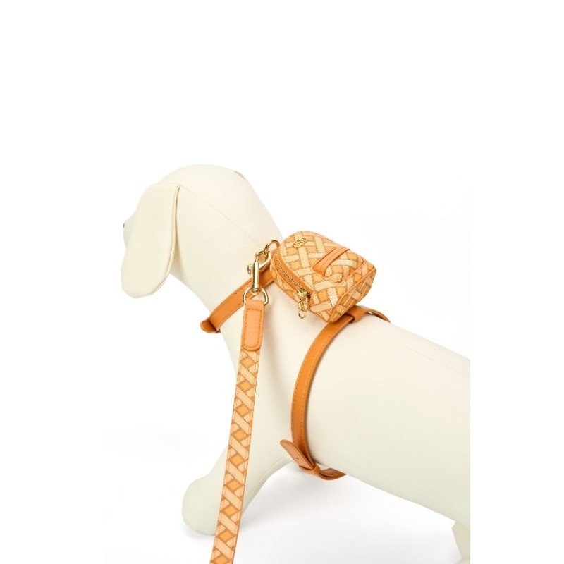 Leather Dog Collars and Leashes