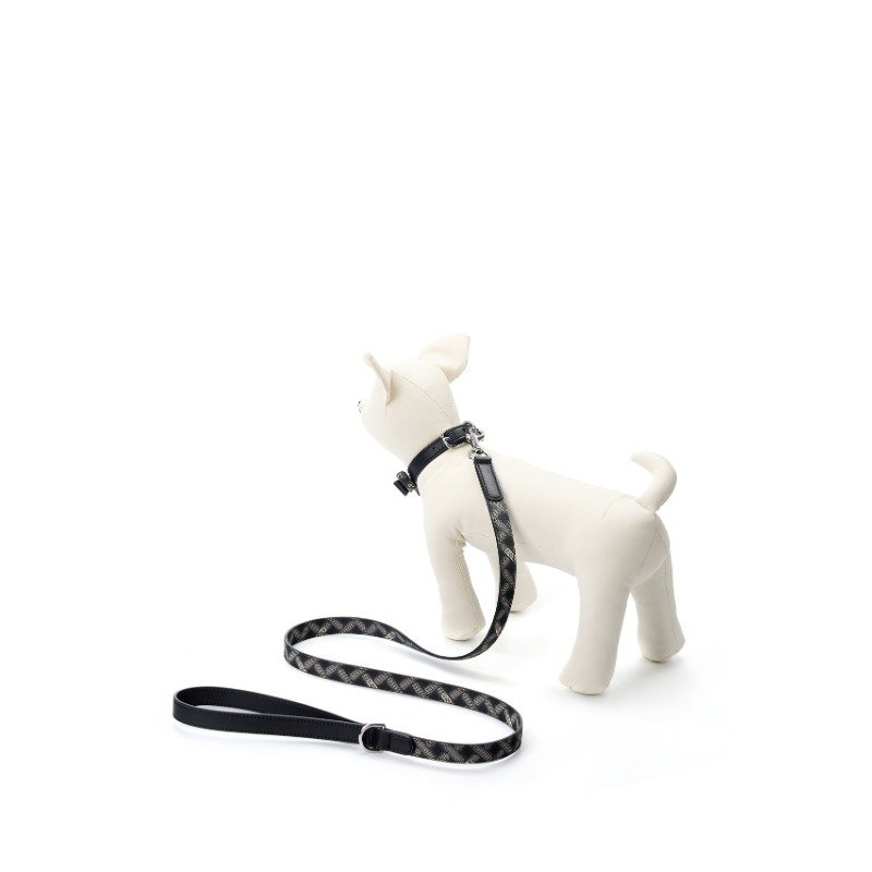 Custom leather dog collars  leashes