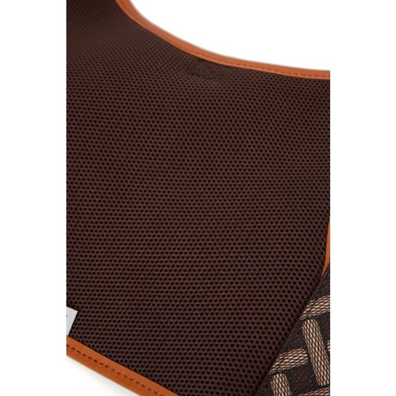 Customized Leash Collar Leash Vest