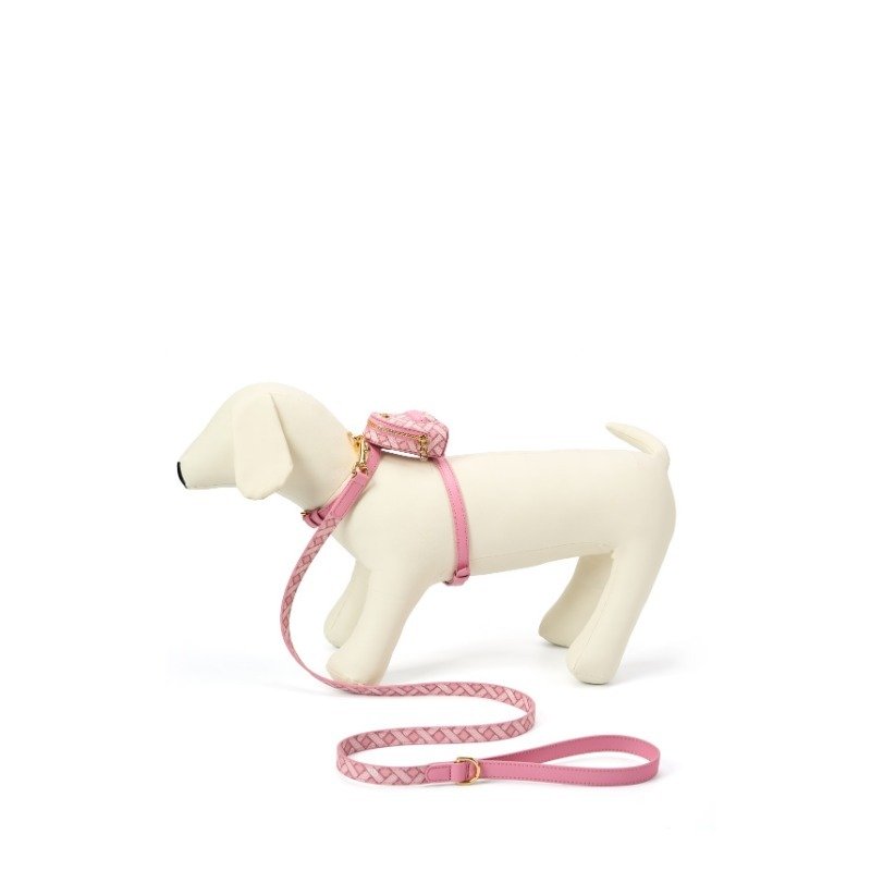 Leather Dog Collars and Leashes