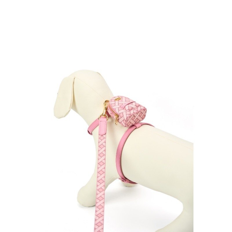 Leather Dog Collars and Leashes