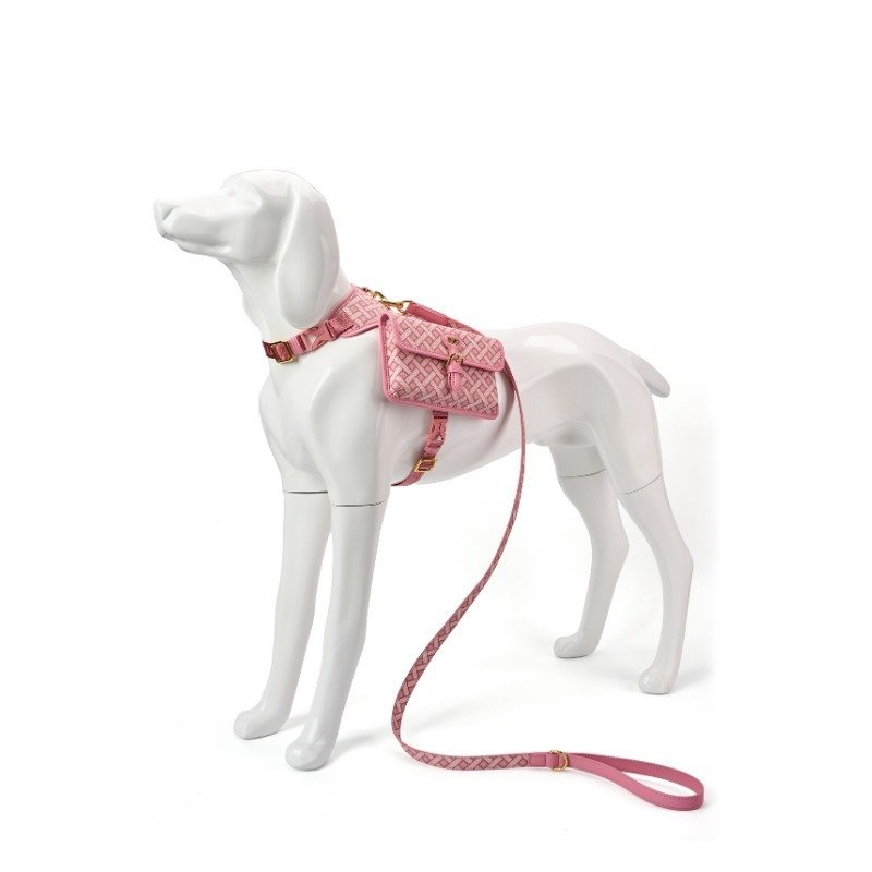 Customized Leash Collar Leash Vest