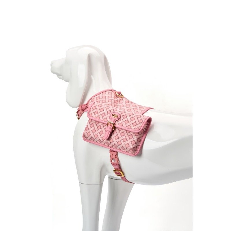 Customized Leash Collar Leash Vest