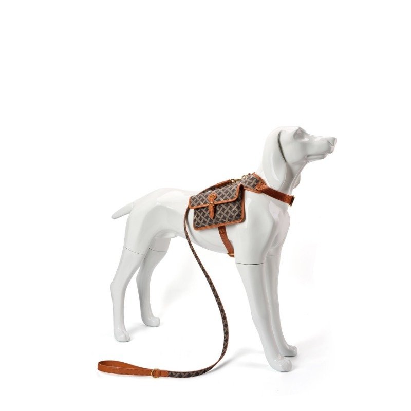 ustom leather dog vests collars leashes