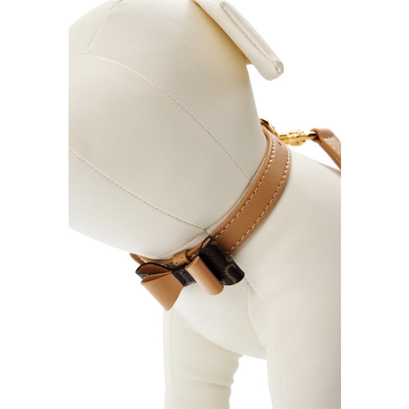 Custom leather dog collars  leashes