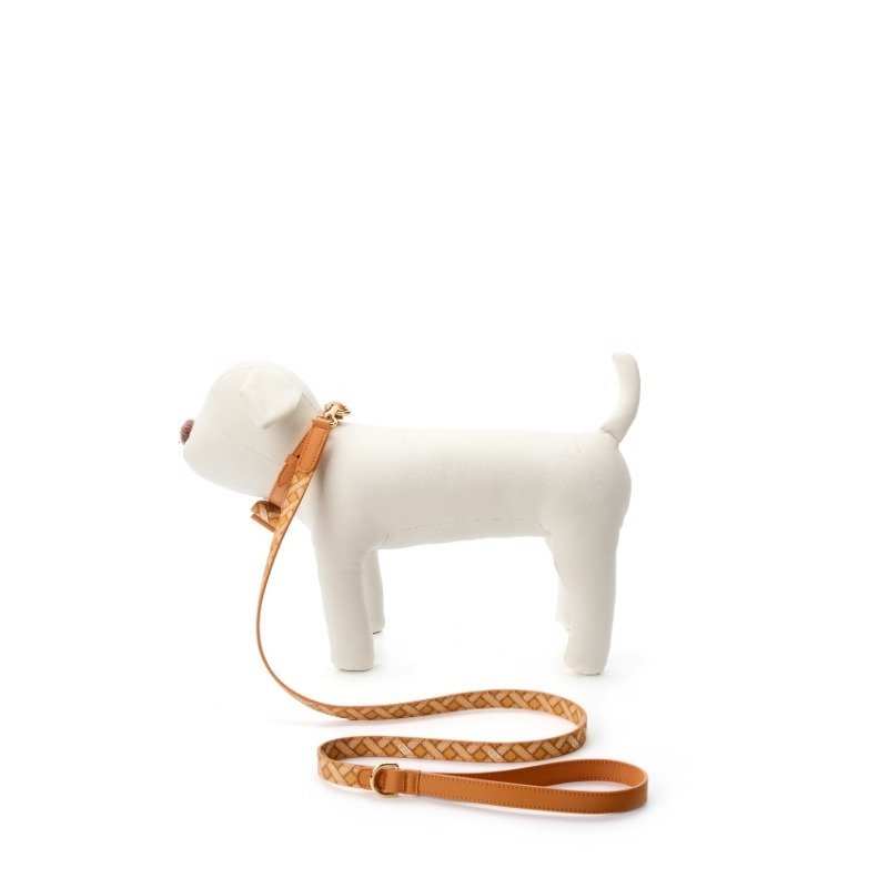 Custom leather dog collars  leashes