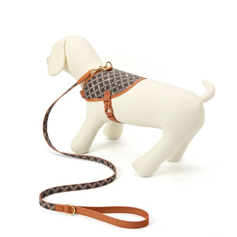 ustom leather dog vests collars leashes