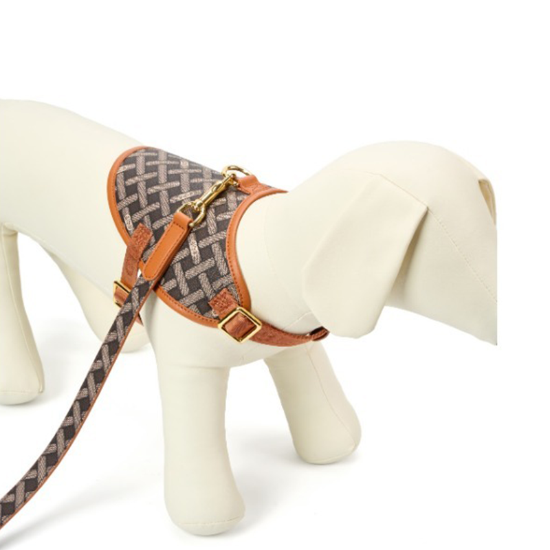 ustom leather dog vests collars leashes