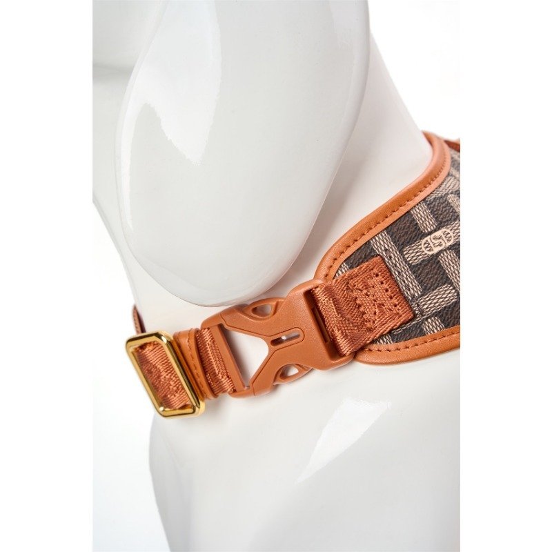 Customized Leash Collar Leash Vest